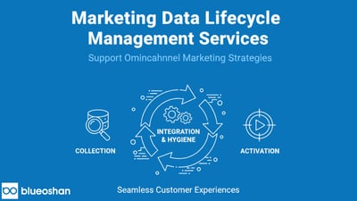Which Marketing Data Lifecycle Services Power Omnichannel Marketing?