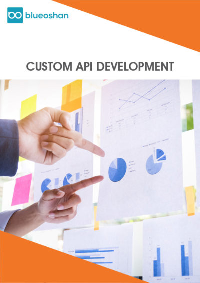 Custom API Development