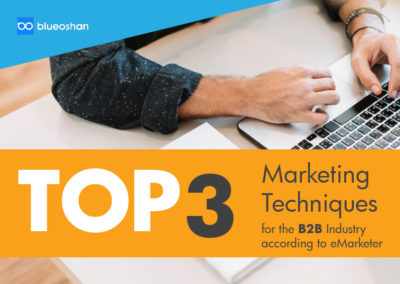 Marketing Techniques for the B2B Industry according to eMarketer